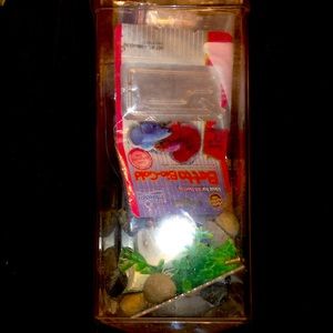 Start your own fish tank!